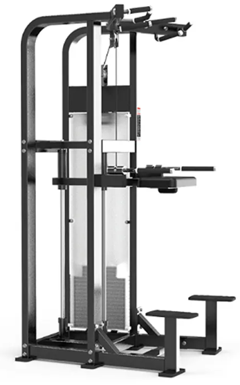 2000 Series Selectorized Assisted Chin Up/Dip