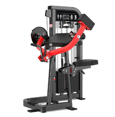 1900 Series Selectorized Seated Bicep Curl