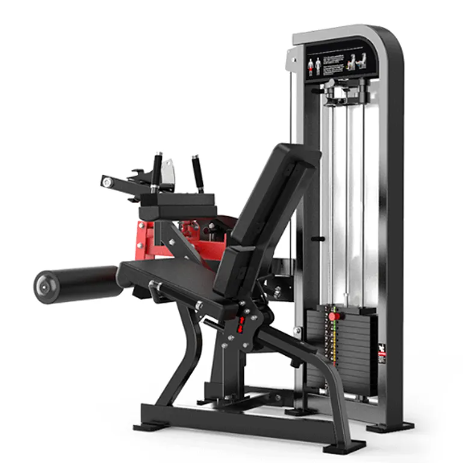 2000 Series Selectorized Seated Leg Curl