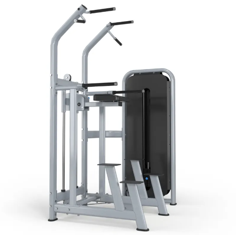 1900 Series Selectorized Pull-Up/Dip Assist Machine