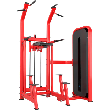 1900 Series Selectorized Pull-Up/Dip Assist Machine